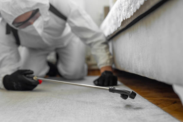 Professional Bed Bug Control technician working in Brooklyn, OH